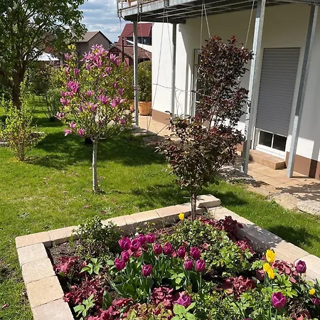 Διαμέρισμα Henriette Bad Liebenstein