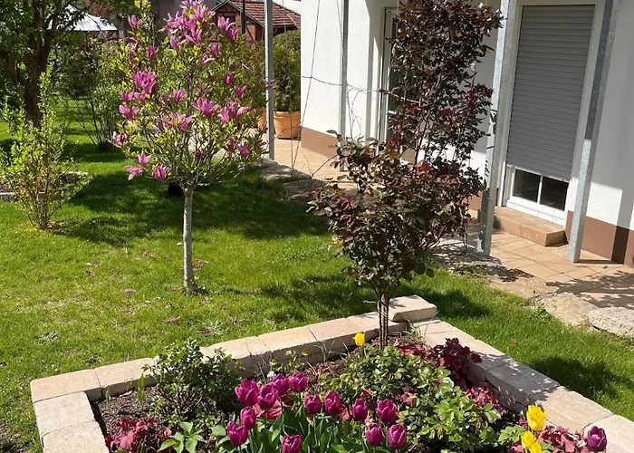 Daire Henriette Bad Liebenstein